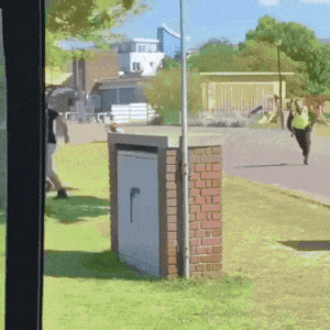 20220920_121713.gif