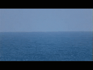 20220531_065327.gif