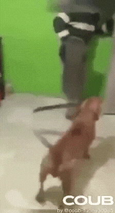 20220923_181535.gif