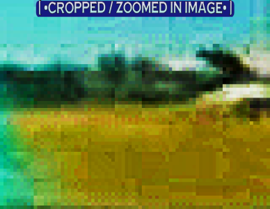 magicut_1663921571861.png
