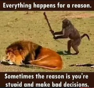 1663943171211.png