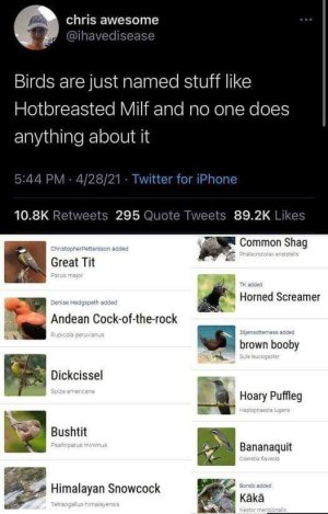 FB_IMG_1663972687460.jpg