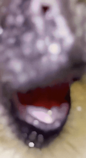 20220926_004012.gif