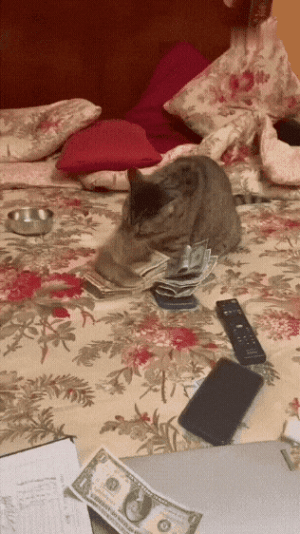 20220926_010148.gif