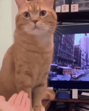 20220926_021318.gif
