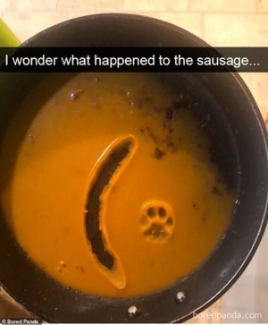 1664194021744.png