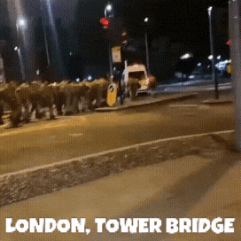 20220926_234447.gif