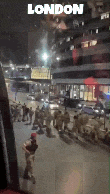 20220926_233148.gif