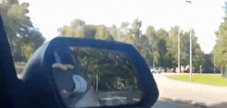 20220926_233637.gif