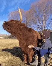 20220927_194636.gif