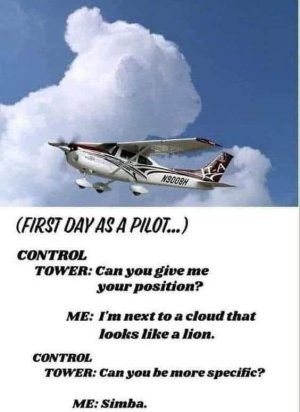 FB_IMG_1664496532122.jpg