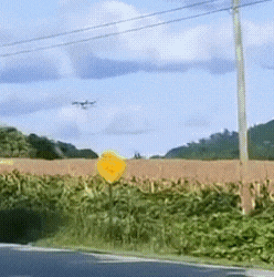 20220927_141254.gif