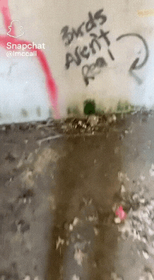 20220930_200009.gif