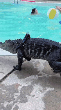 20220930_200138.gif