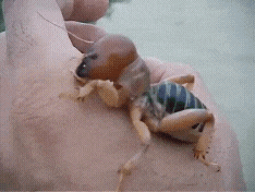 20220930_200423.gif