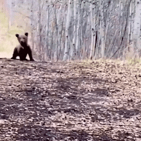 20220930_201156.gif