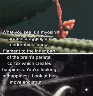 20220930_202134.gif