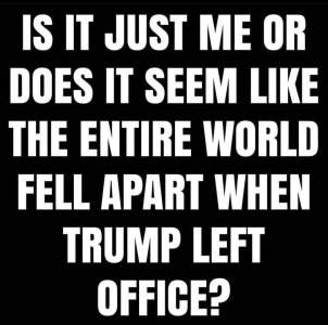 c0f2f033-fe9d-4b56-a930-059df054f5e0.jpg