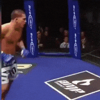 20221001_155029.gif