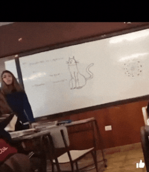 20221001_155946.gif