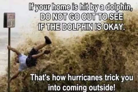 FB_IMG_1664590954784.jpg