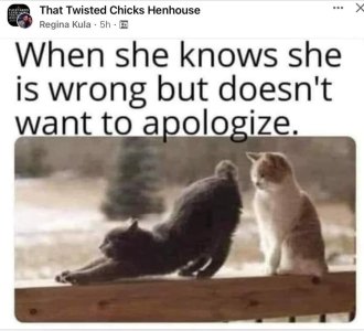 FB_IMG_1664658597707.jpg