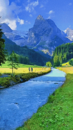 20221002_112214.gif 20221002_112214.gif