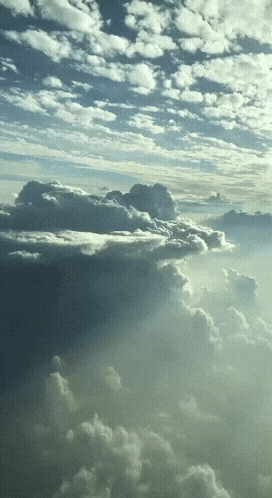 20221002_103537.gif