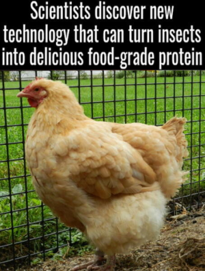1664725688204.png