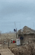 20221003_214223.gif