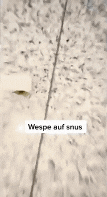 20221002_140727.gif