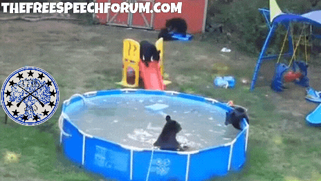 20220926_005335.gif