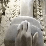 20221005_122354.gif