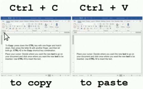 1664969261428.gif