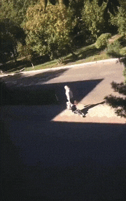 20221005_123533.gif