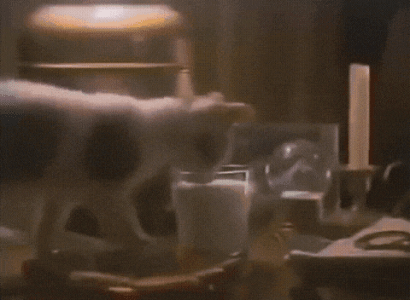 20221005_123009.gif