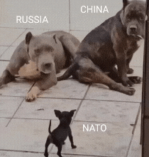 20221005_121716.gif