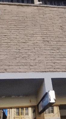 20221003_205005.gif