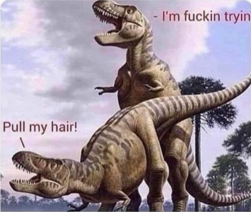 1664992559940.png