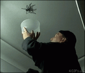 1617843368417.gif