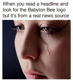 1665014143446.png