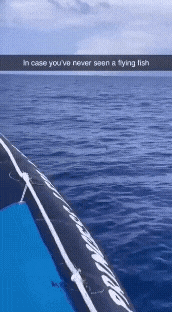 20221007_093611.gif