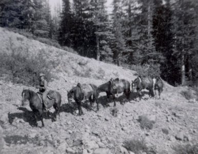 Darrel Pack Train Rocky Mts 1950s.jpg