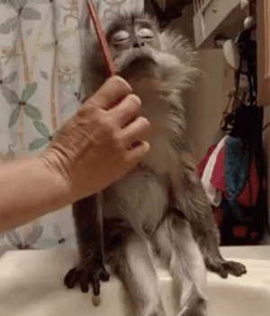 1665258223910.gif