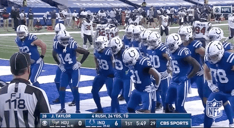 giphy (15).gif