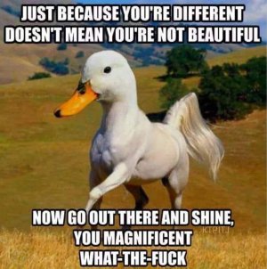 FB_IMG_1665271466829.jpg