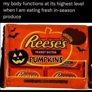 FB_IMG_1665340885990.jpg