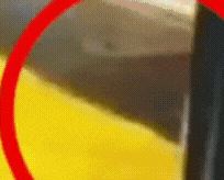 20221010_122154.gif