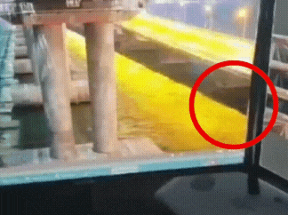 20221010_121446.gif