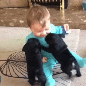 a puppy and kid.gif